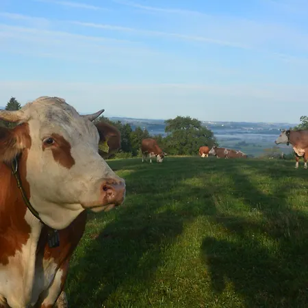 ファームステイ Bio-bauernhof Haunschmid Ardagger Markt