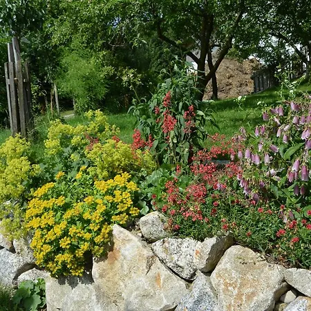 Bio-bauernhof Haunschmid ファームステイ Ardagger Markt