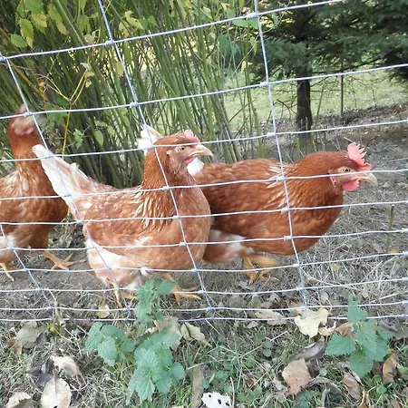 ファームステイ Bio-bauernhof Haunschmid