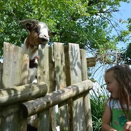 ファームステイ Bio-bauernhof Haunschmid *