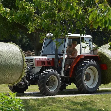 ファームステイ Bio-bauernhof Haunschmid Ardagger Markt