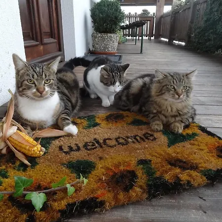 ファームステイ Bio-bauernhof Haunschmid *