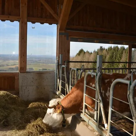 Bio-bauernhof Haunschmid ファームステイ Ardagger Markt