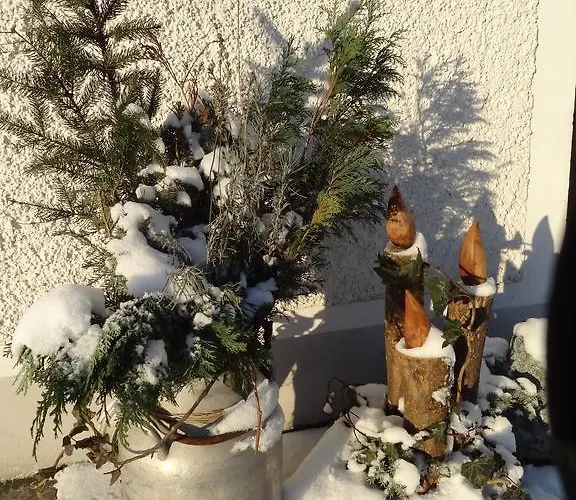 Bio-bauernhof Haunschmid Feriegård *