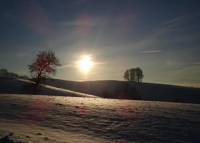 Bio-bauernhof Haunschmid Feriegård Ardagger Markt