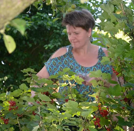 Bio-bauernhof Haunschmid Ardagger Markt