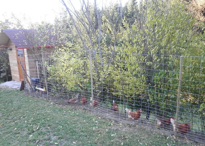 Bio-bauernhof Haunschmid * Ardagger Markt