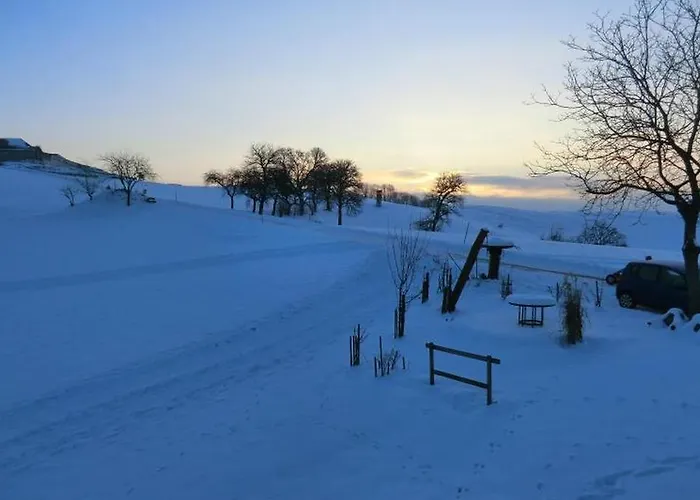 Bio-bauernhof Haunschmid Feriegård *
