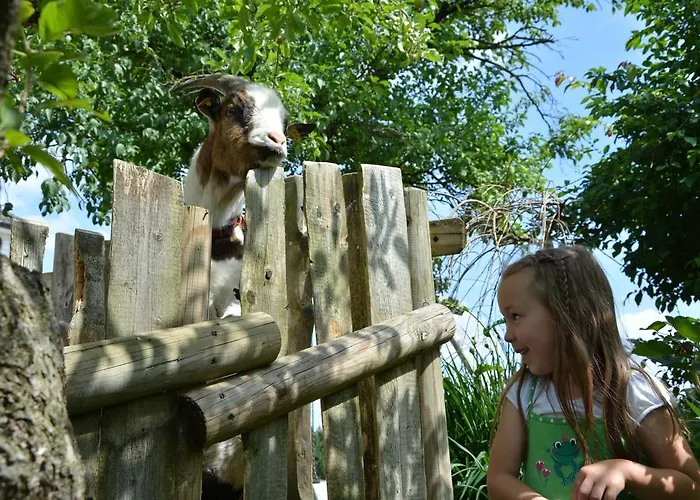 Feriegård Bio-bauernhof Haunschmid *