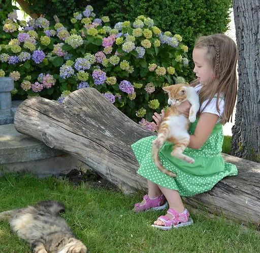 Bio-bauernhof Haunschmid * Ardagger Markt