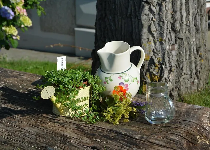 Bio-bauernhof Haunschmid *