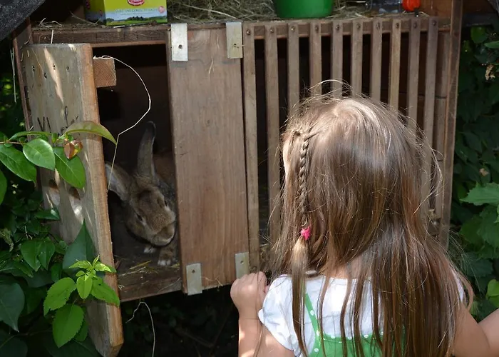 Bio-bauernhof Haunschmid *