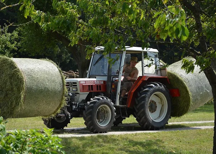 Feriegård Bio-bauernhof Haunschmid Ardagger Markt