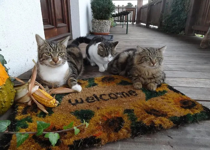 Feriegård Bio-bauernhof Haunschmid *