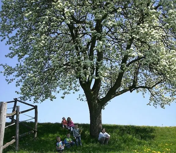Bio-bauernhof Haunschmid