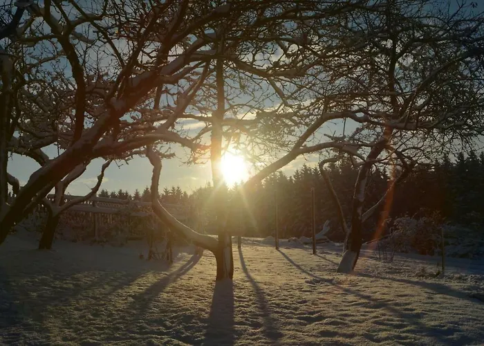 Feriegård Bio-bauernhof Haunschmid *